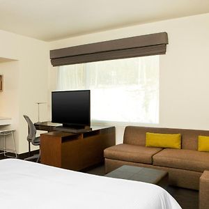 Studio 1 King Sofa bed